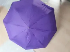 紫色の傘兼日傘