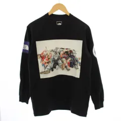 ザノースフェイス THE NORTH FACE 22AW L/S TRANS ANTARCTICA TEE Tシャツ カットソー 長袖 プリント S 黒 NT82230 /BM