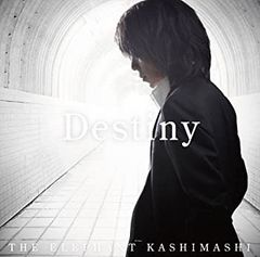 東京湾景 Destiny of Love フォトエッセイ 仲間由紀恵・和田聡宏 