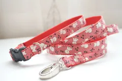 WSR♡　様専用　ちびちびビション　首輪、リードセット