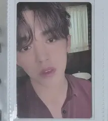 SEVENTEEN エスクプス fml Fallen Mist Lost アルバムトレカ トレカ