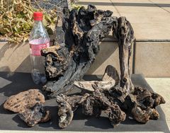 Item thumbnail for item eeadfb3d-e76d-418f-b020-8fa1133752b8