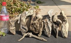 Item thumbnail for item 002df5e4-e8cf-4b8c-8bfa-48c51c0fb304