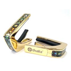 Item thumbnail for item 99bef629-e853-4ad2-9796-05446767aba6