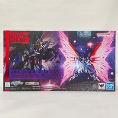 MR魂 デスティニーRe:Coordinate専用光の翼セット 魂ウェブ商店限定