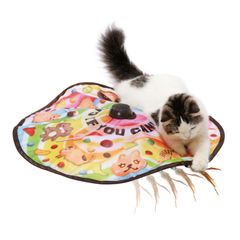 Item thumbnail for item fa92d937-bf19-45ba-aeeb-aef7dc3f7ffe