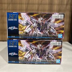 HG ライジングフリーダム マイティーストライクフリーダム 2体セット