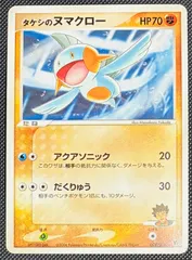 タケシのミズゴロウ タケシのヌマクロー 2JP4BpCuccu353PPq5Q8jZ.jpg@webp