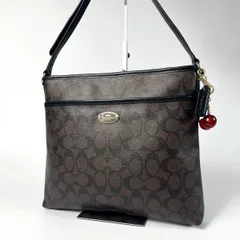 美品 COACH コーチ ショルダーバッグ シグネチャー レザー ブラウン クロスボディ 斜め掛け ダークブラウン F34938