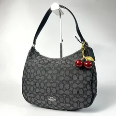 美品 COACH コーチ ショルダーバッグ キャンバス シグネチャー レザー 黒 ワンショルダー ハーフムーン F29959