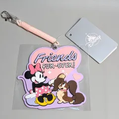 ディズニーストア パスケース ミニー&フィフィ