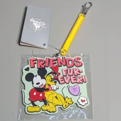 ディズニーストア パスケース ミッキー&プルート