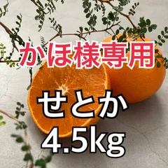 ‼︎かほ様専用‼︎ せとか　4.5kg