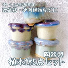 お得5点セット！ 淡く白いミニチュアサイズの陶器植木鉢 豆盆栽や苔盆栽などに！ 苔や多肉植物の緑が綺麗に映える ミニミニ盆栽 ミニチュア インテリア 小品盆栽 盆栽鉢 豆鉢 多肉植物 陶器鉢 山野草 bonsai pot plant pot