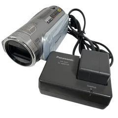 【ジャンク】Panasonic パナソニック HDC-SD1 ビデオカメラ 通電不可 電源入らず 部品取り 返品不可 充電器付