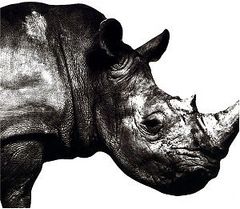 (CD)Mr.Children 1992-1995/Mr.Children