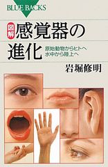 Item thumbnail for item 2989fd2d-7068-4b59-abfa-c059d17ab504