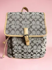COACH シグネチャー C LINE バックパック