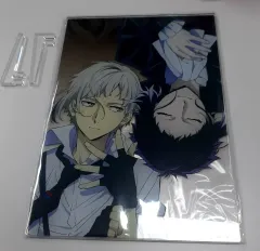 文豪ストレイドッグス 中島 敦 芥川龍之介 アークス アクリル 額縁