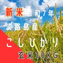 令和7年産 コシヒカリ 玄米30キロ 淡路島産 30kg 精米小分け可能 