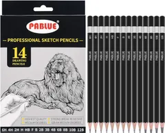 【数量限定】10B 8B 12B，絵画、スケッチ、デッサンに最適、初心者・プロ用アーティスト鉛筆 6B 4B 3B 2B B F HB H 2H 4H 6H 鉛筆 アート用 絵画 スケッチ デッサン 14本セット