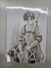 進撃の巨人 特典 リヴァイ ビジュアル カード