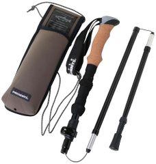 Item thumbnail for item 336702e0-e909-4d88-8904-cabb9716cd2e