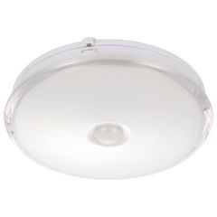 Item thumbnail for item 10d17b7e-974e-4228-9af9-27eed37adc7e