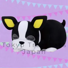 2026年最新】めちゃもふぐっと イギーの人気アイテム - メルカリ