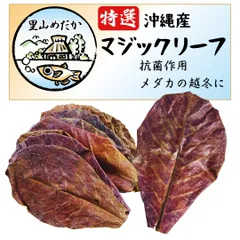 2026年最新】マジックリーフの人気アイテム - メルカリ
