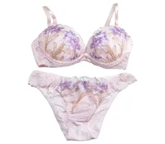 [ラウレアアコアコア] ピンク D80 ブラジャー ブラ ショーツ 女性 下着 上下 セット & 上品 上げ プチ がない 脇あせ 上げる ギャル ノビル 極細 大 おおきめ 小 みたいな 胸柔らかい 用 リボン付き わき肉寄せ 目立た [ピンク] [D80]