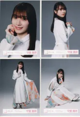 櫻坂46 守屋麗奈 BACKS LIVEメインビジュアル用MV衣装 コンプ