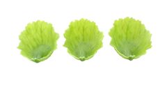 Item thumbnail for item b29f2c63-3ded-4942-9bca-4dcbf5a4bf8d