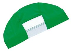 Item thumbnail for item 7c6204d1-a702-4a97-aac1-fa34f5487999