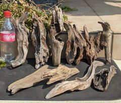 Item thumbnail for item 7b33b43b-fd14-497e-bcb5-752a7fb6012a