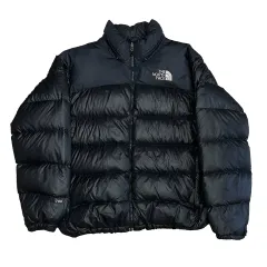 105 THE NORTH FACE ザノースフェイス ヌプシ 700 グースダウン ダウン