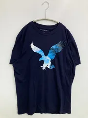 AMERICAN EAGLE アメリカンイーグル Tシャツ/カットソー M ネイビー