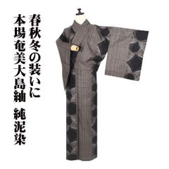 ゆめsaku 美品 夏着物 正絹 蜻蛉“涼黒に勝ち虫”手縫い 紗紬 P-154 