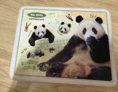 人気,お得 アイバオ フバオ 人形 出品