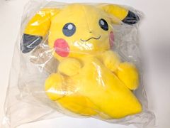 신품 미개봉 포켓몬스터 포켓몬 히나타 보코 피카츄 봉제인형 태그 첨부 2023 Pokemon Collection 복권 HIDAMARI LIFE