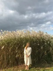 クリーム色リボンウエスト紐 長袖 春ワンピース