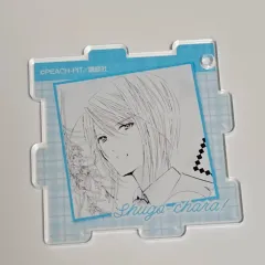 しゅごキャラ！ キャラチェンジ ドリームショップ エド つかさ パズル キーホルダー キーホルダー