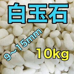 溶岩石プレート 20×10cm 2枚 爬虫類 隠れ家 バスキング 陸地用 - メルカリ
