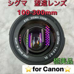 ✨希少シルバー✨キヤノン用 SIGMA 100-300mm 超望遠レンズ❤️ - メルカリ