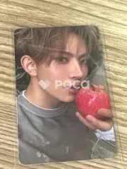 THE SIN : VANISH FUGITIVES Ver.