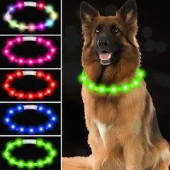 【新品】 犬 光る首輪 犬 ライト 散歩用 ペット 光る LED 12個の高輝度LEDライトを採用 USB充電式 サイズ調整可能 犬 おしゃれ 軽量 犬 小型犬 中型犬 大型犬 夜間 安全性 装着簡単 散歩用 (グリーン) 0