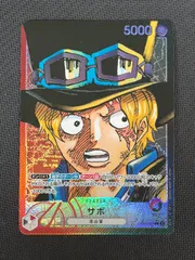 サボ リーダーパラレル