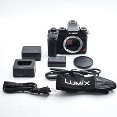 物損保証付】 LUMIX S1RⅡ スモールリグケージ 各種アクセサリ - メルカリ
