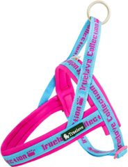 Item thumbnail for item 0f226258-c0cf-4cc5-a0e5-fa086487edc9