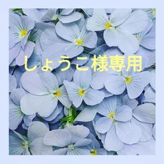 しょうこ様専用
